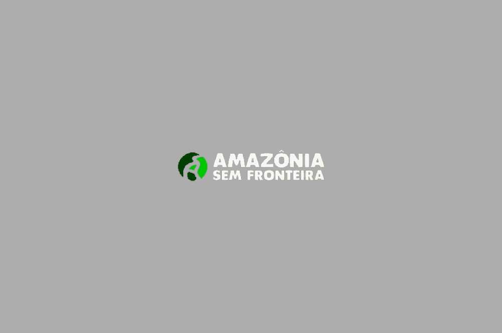 Eliza CEO da Bocato Figueiredo ressalta o papel da gestão de recursos na indústria