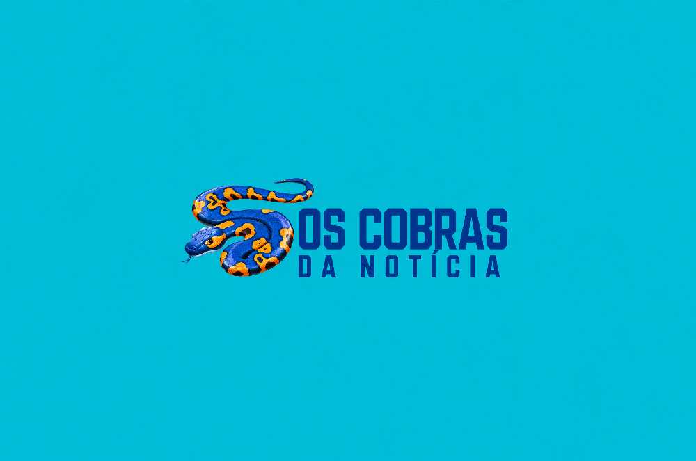 Gestão que gera resultados: Eliza Bocato Figueiredo fortalece atuação da consultoria nas indústrias de Atibaia